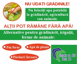 apa-canal