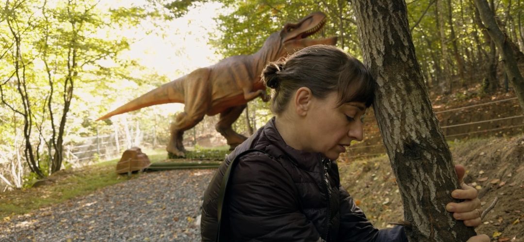 Cele mai importante filme românești recente se văd la TIFF.24